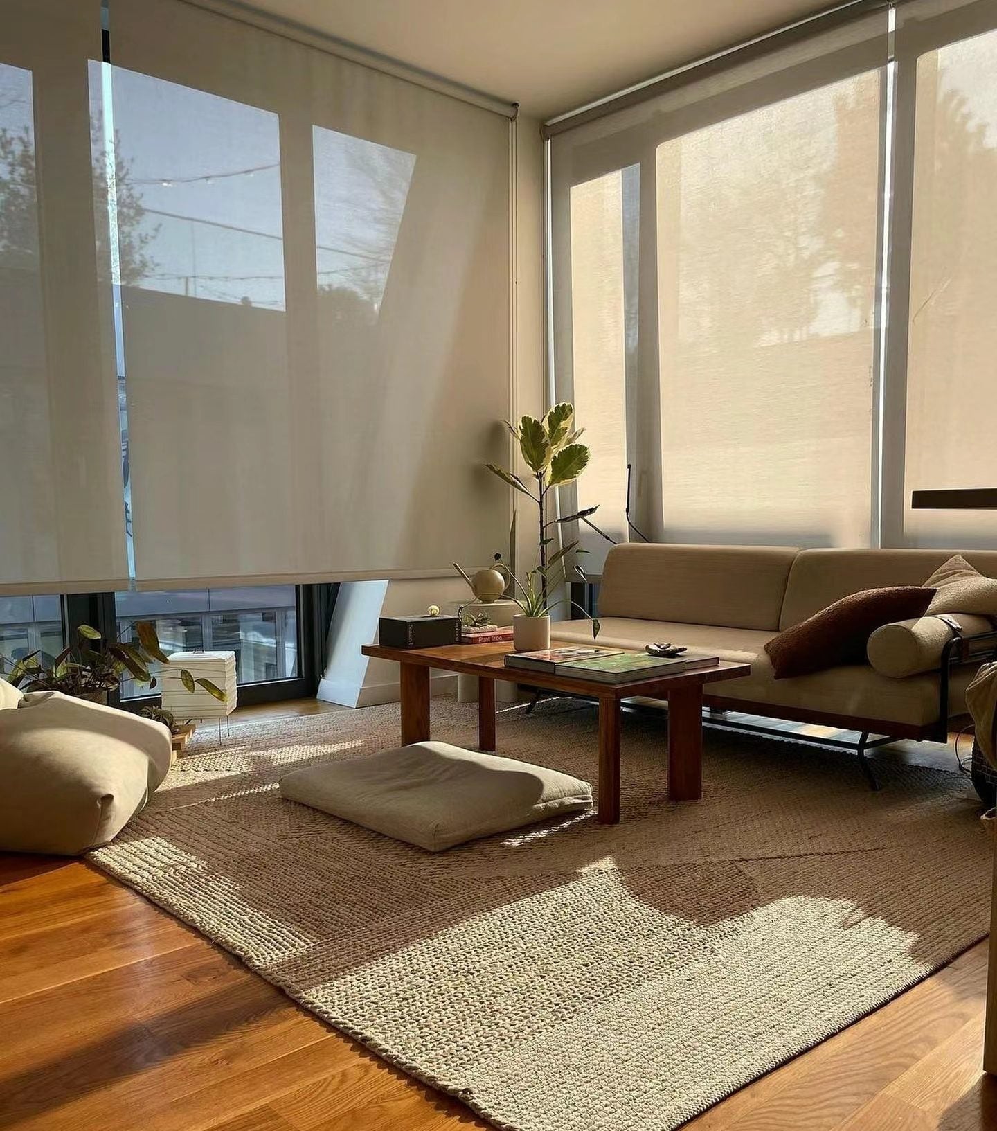 Rollease Roller Blind | Future Furniture Christchurch