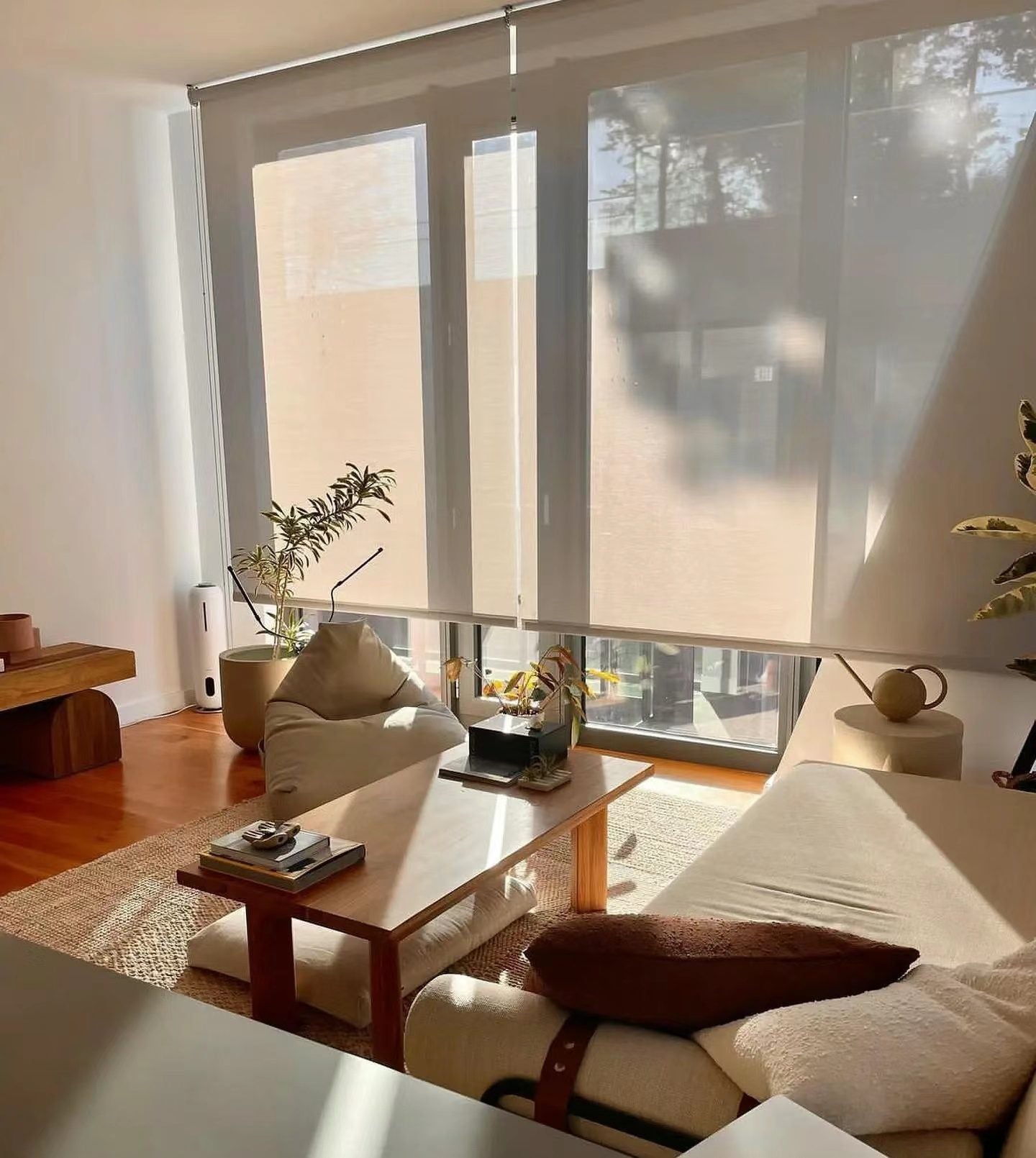 Rollease Roller Blind | Future Furniture Christchurch