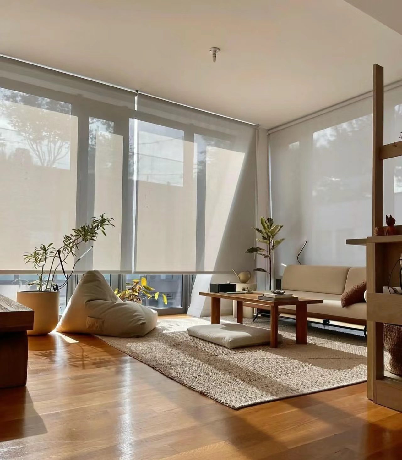 Custom Rollease Roller Blind | Future Furniture Christchurch