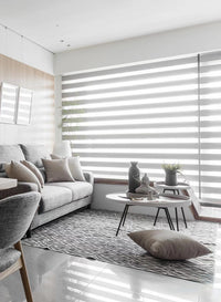 Vision Wave Zebra Blind - My Store