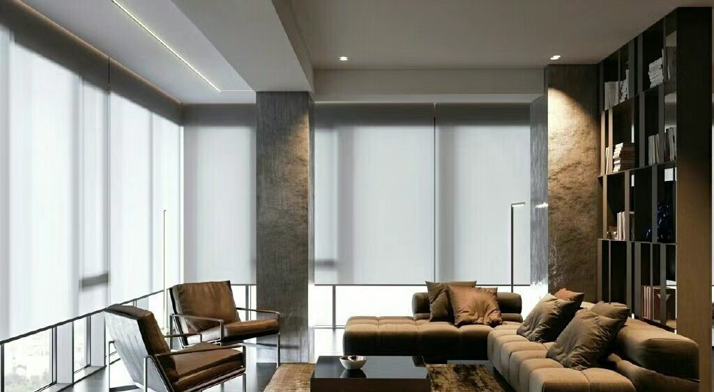 ModernShade Sunscreen Roller Blind - My Store