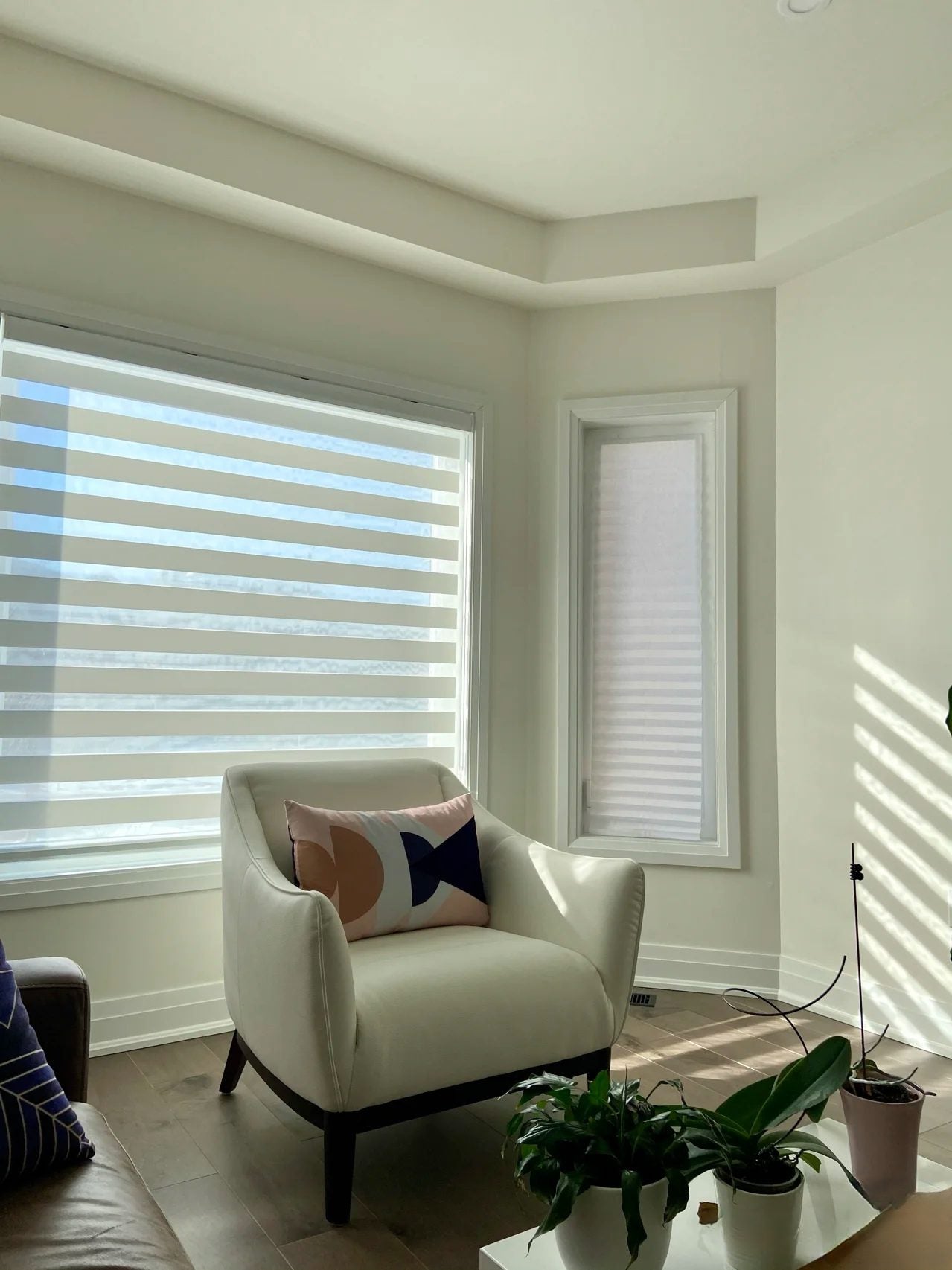 Vision Wave Zebra Blind - My Store