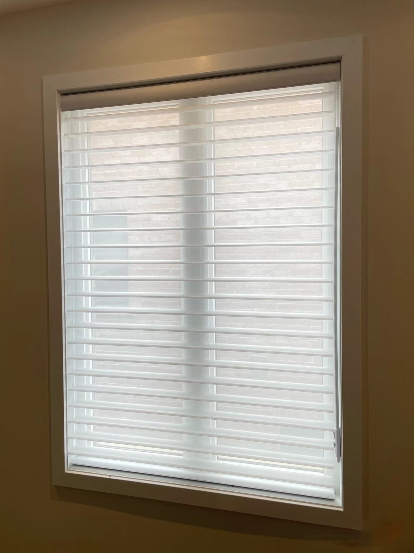 Lumina Zebra Blinds Sun Screen - My Store