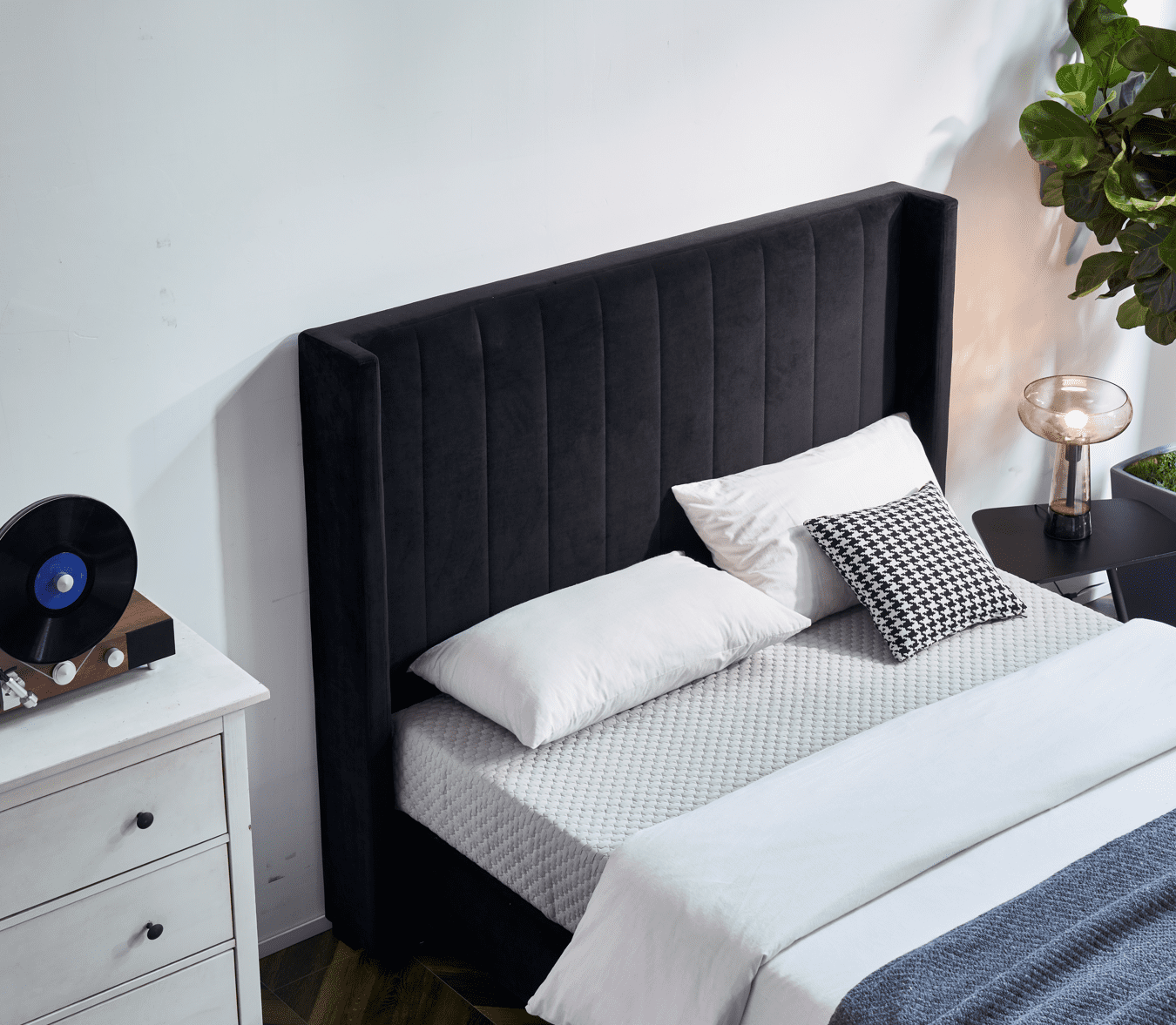 Fenton Velvet Bed - My Store