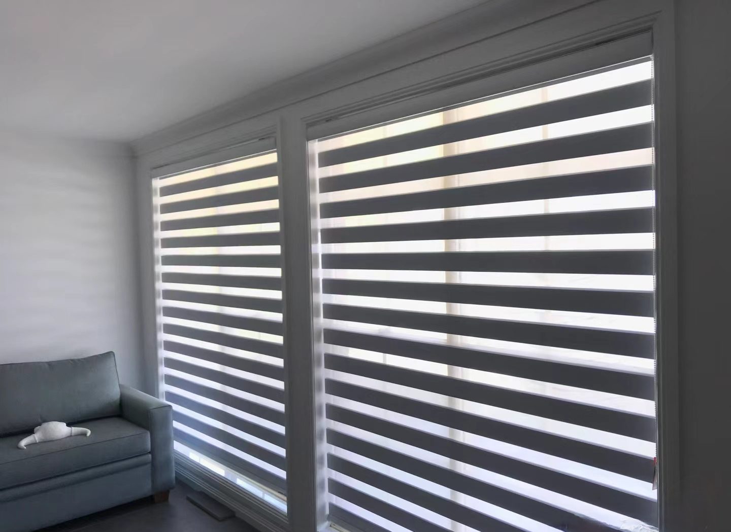 SunBlocker Zebra blind - My Store