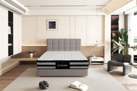 BackShield Firm Mattress - My Store